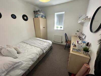 Picture 7